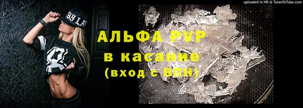 гашик Алексеевка